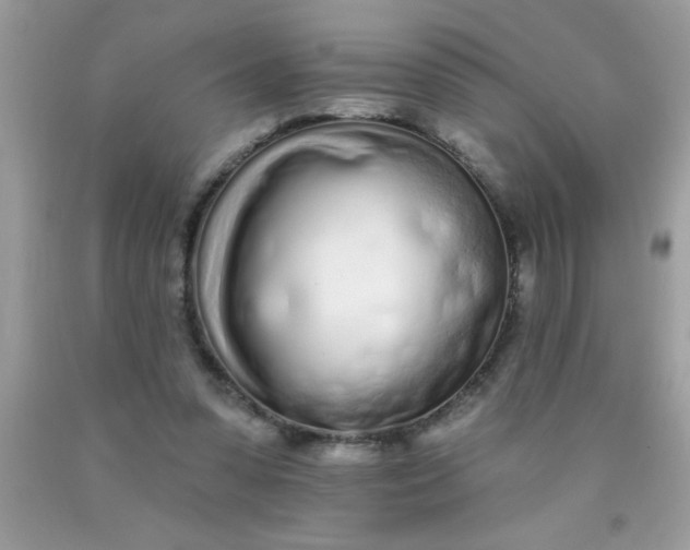 X0000090460303200707272243