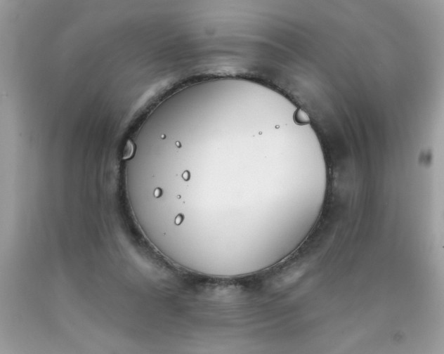 X0000090460304200707272243