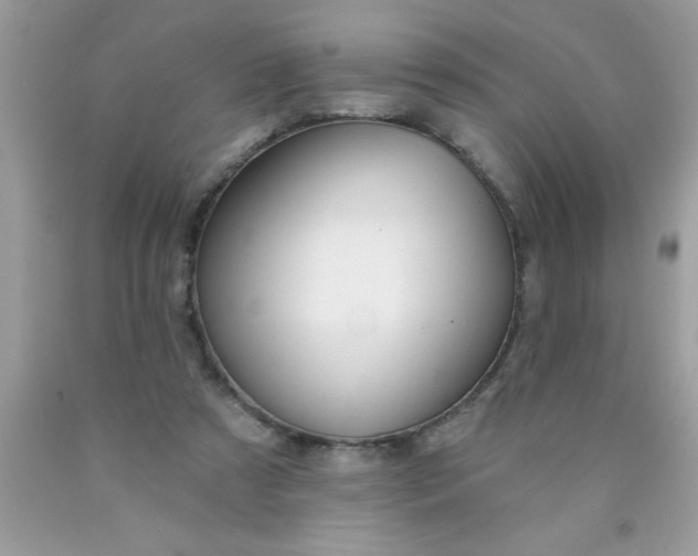 X0000090460305200707272243