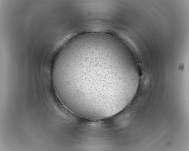 X0000090460306200707272243