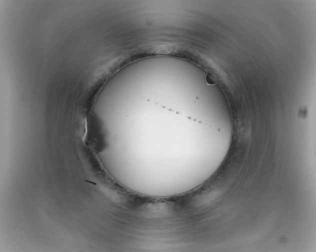 X0000090460307200707272243
