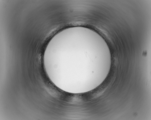 X0000090460308200707272243