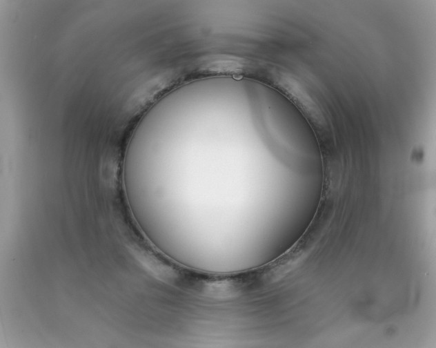 X0000090460309200707272243