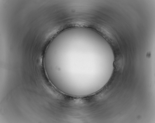 X0000090460310200707272243