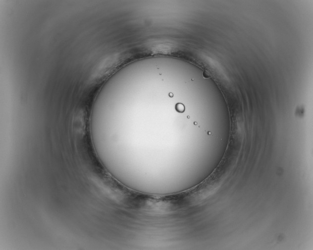 X0000090460311200707272243