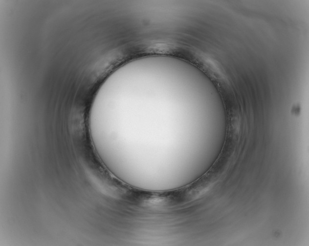 X0000090460312200707272243