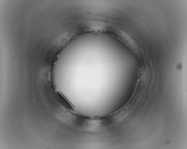 X0000090460313200707272243