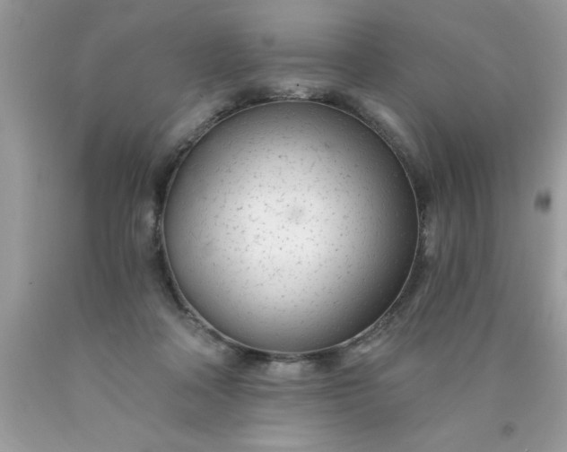 X0000090460314200707272243