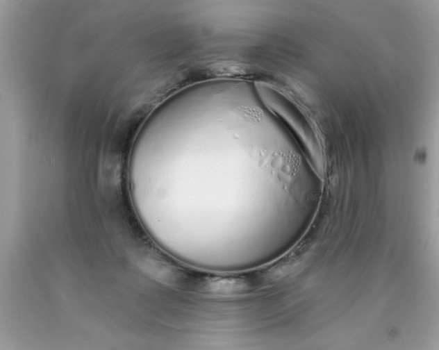 X0000090460315200707272243