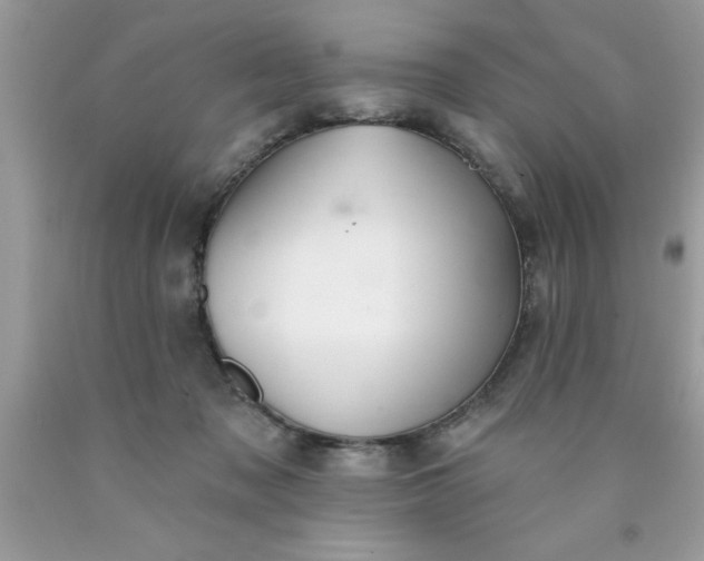 X0000090460317200707272243