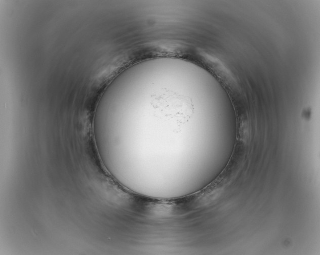 X0000090460318200707272242