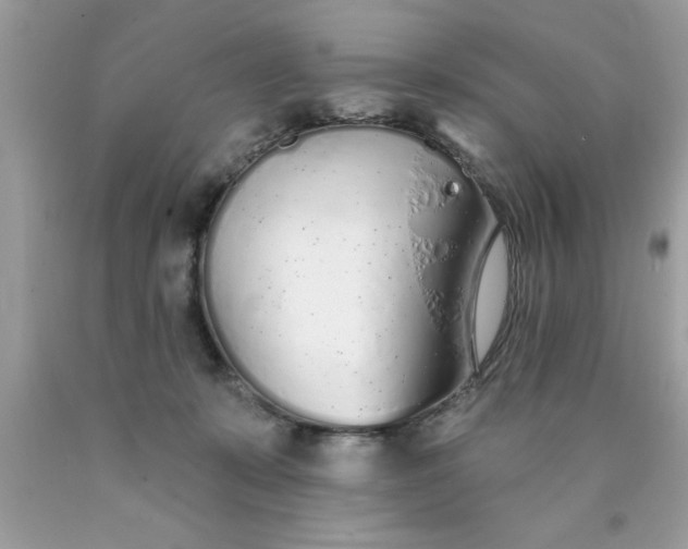X0000090460319200707272242