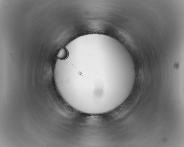 X0000090460320200707272242