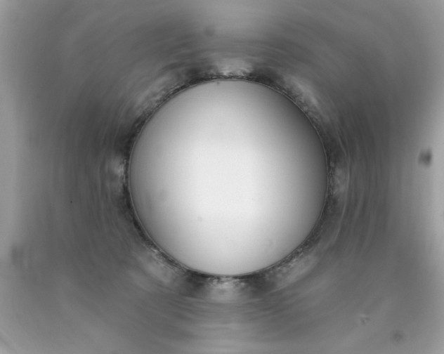 X0000090460321200707272242