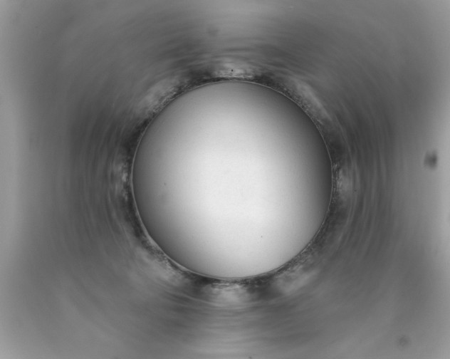 X0000090460322200707272242