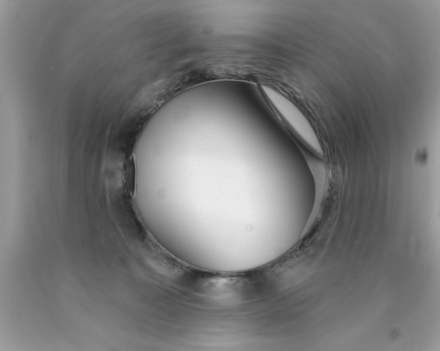 X0000090460323200707272242