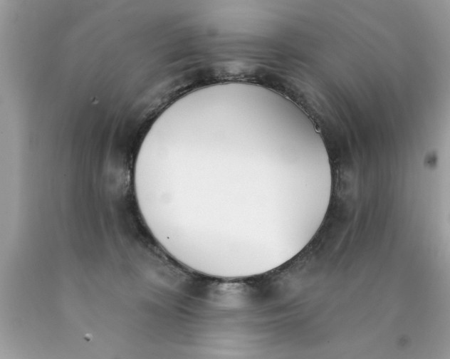 X0000090460324200707272242