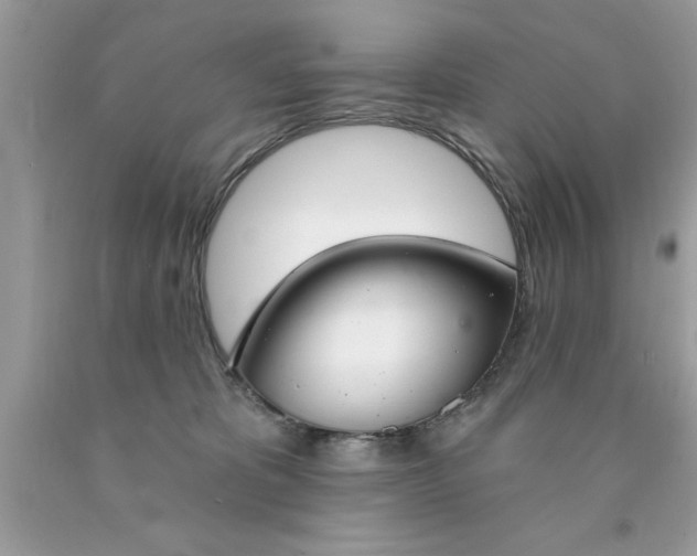 X0000090460325200707272242