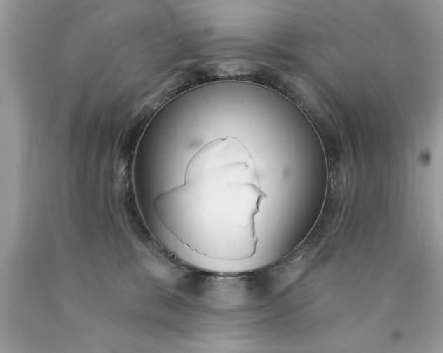 X0000090460327200707272242