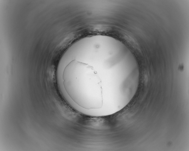 X0000090460328200707272242