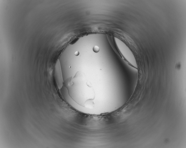 X0000090460329200707272242