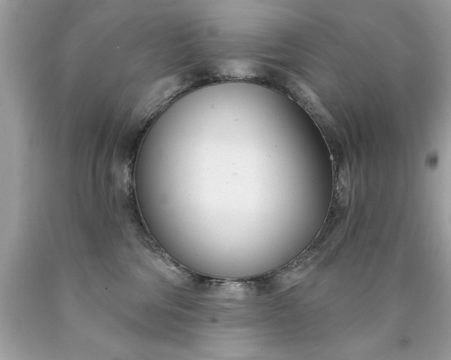 X0000090460330200707272242