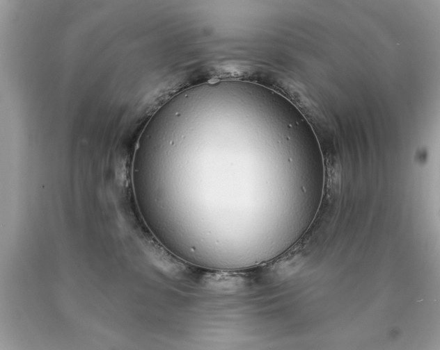 X0000090460331200707272242