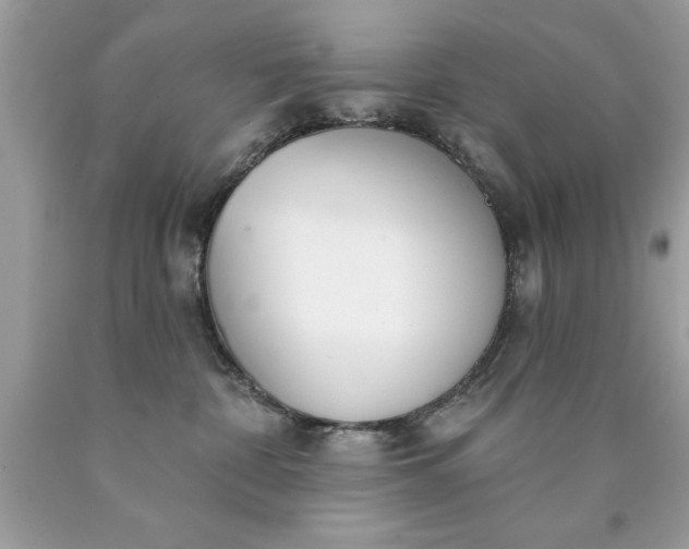 X0000090460332200707272242