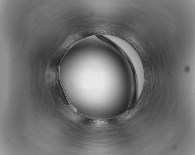 X0000090460333200707272242