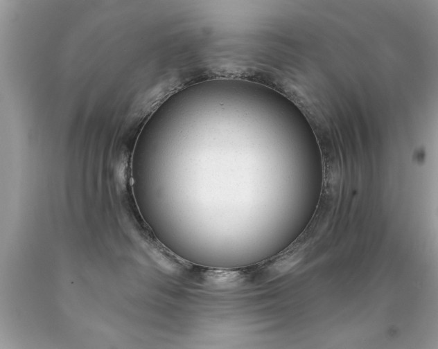 X0000090460334200707272242