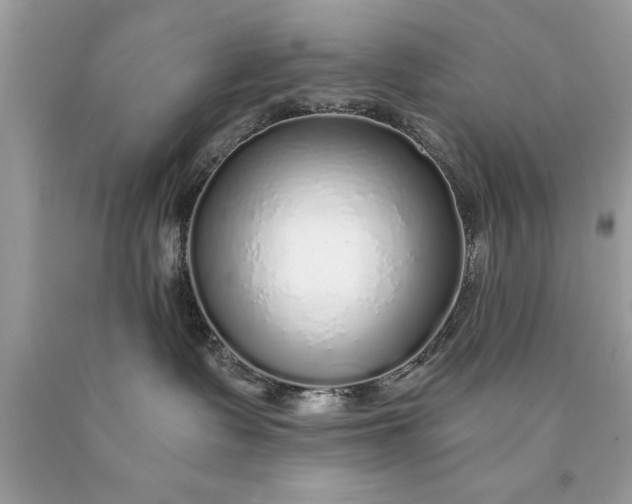 X0000090460335200707272242