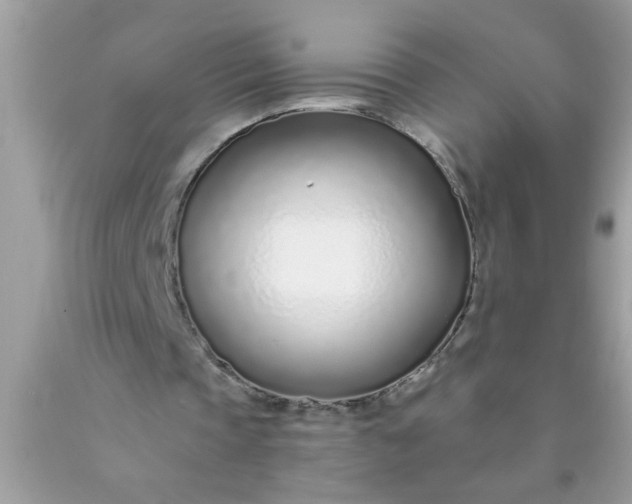 X0000090460337200707272242