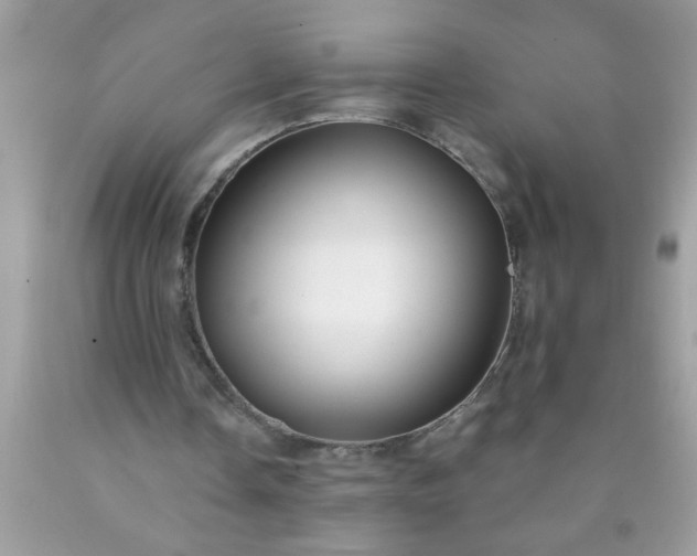 X0000090460338200707272242