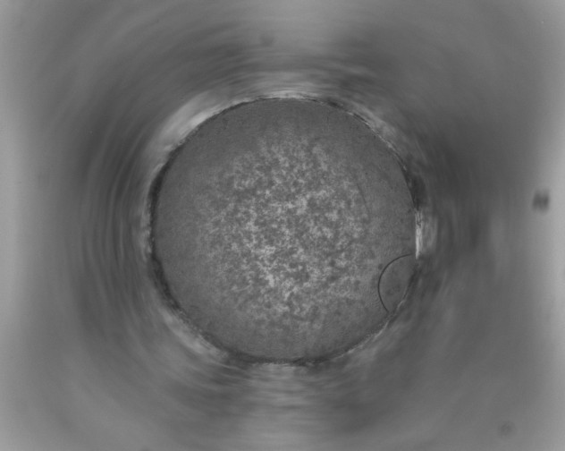 X0000090460339200707272242