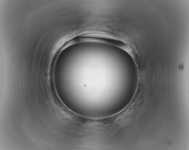 X0000090460340200707272242
