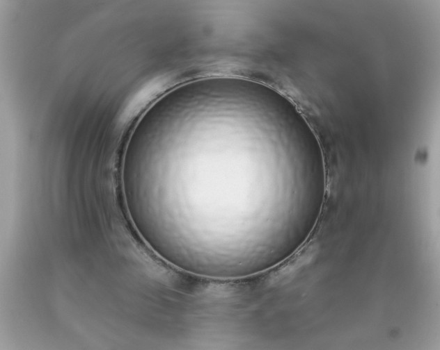 X0000090460341200707272242