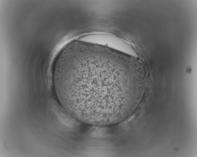 X0000090460343200707272242