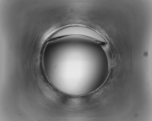 X0000090460344200707272242