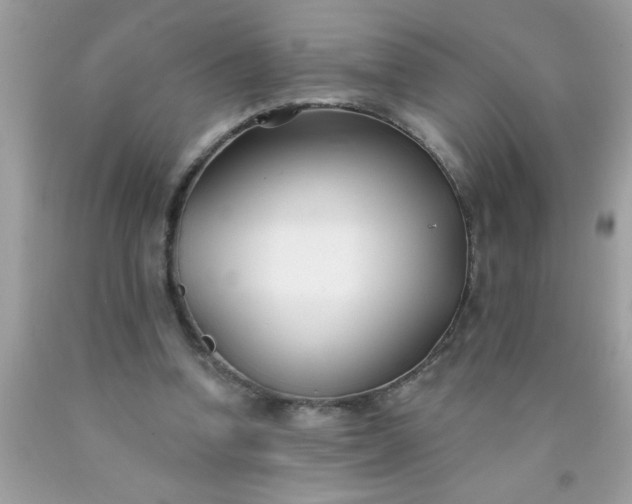 X0000090460346200707272242
