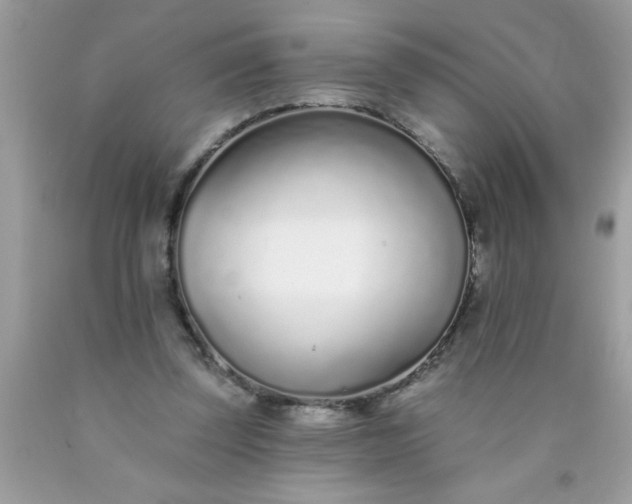 X0000090460347200707272242
