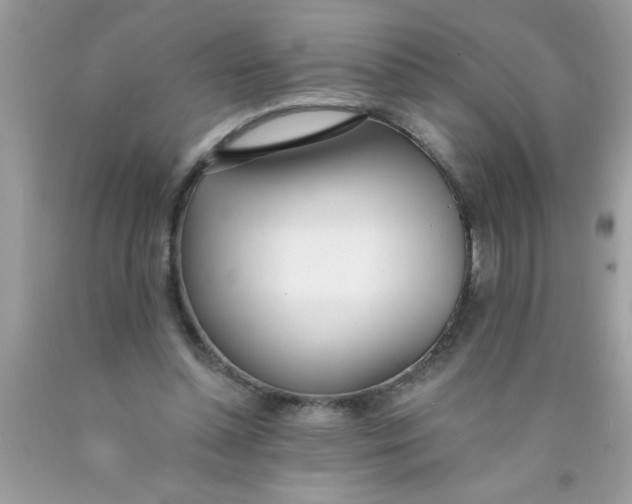 X0000090460348200707272242