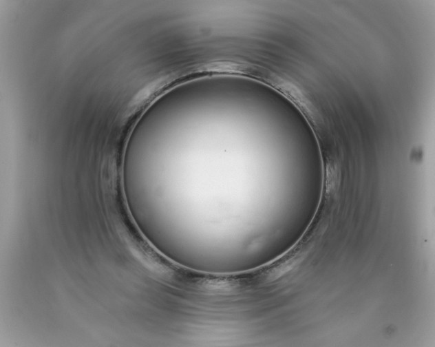 X0000090460349200707272242