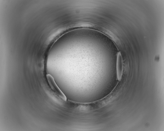 X0000090460350200707272242