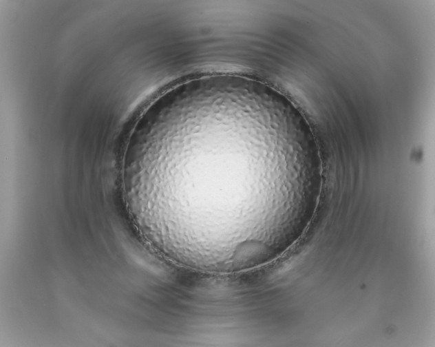X0000090460351200707272242