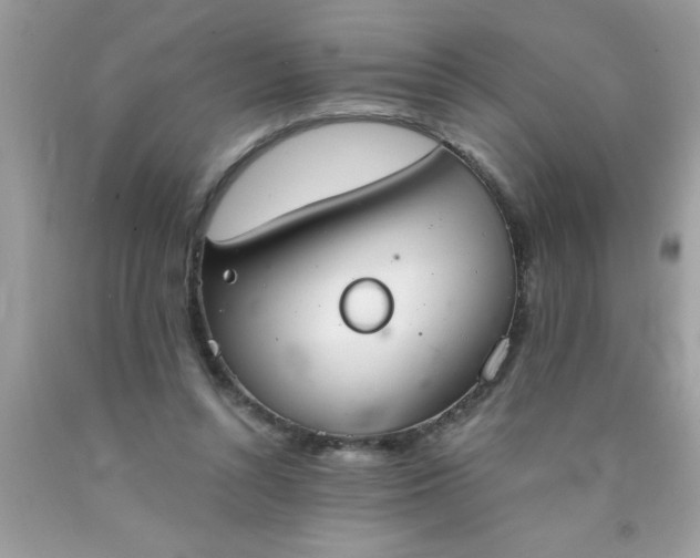 X0000090460352200707272242