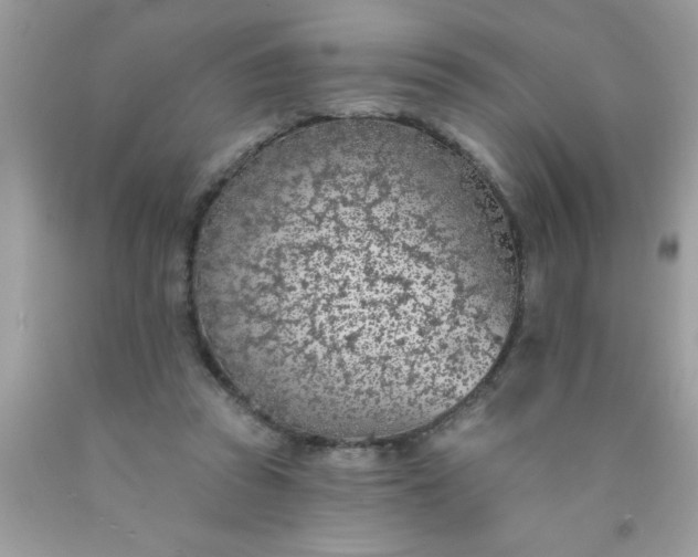 X0000090460353200707272242