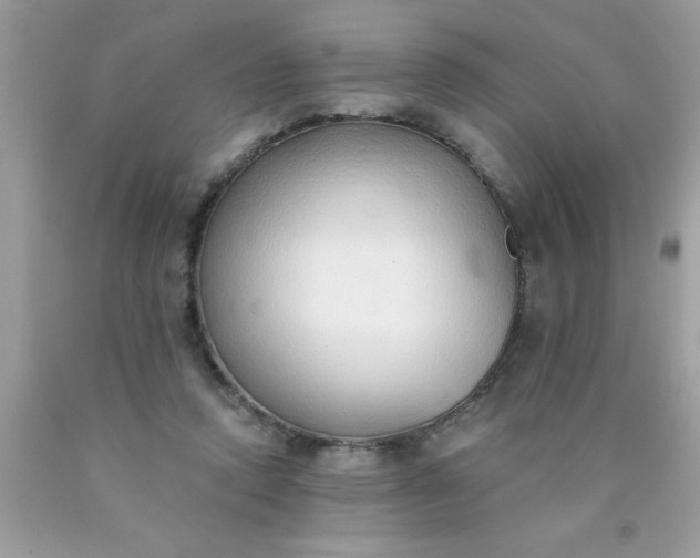 X0000090460354200707272242