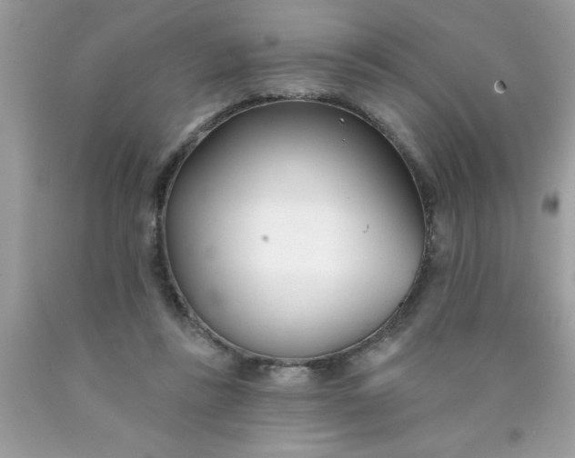 X0000090460355200707272242