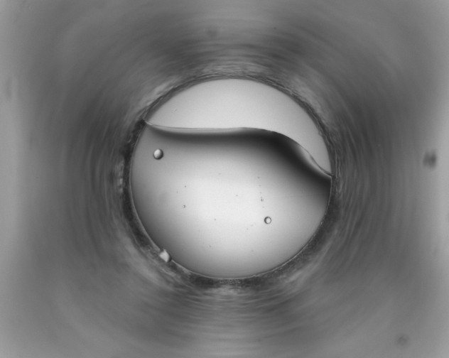 X0000090460356200707272242
