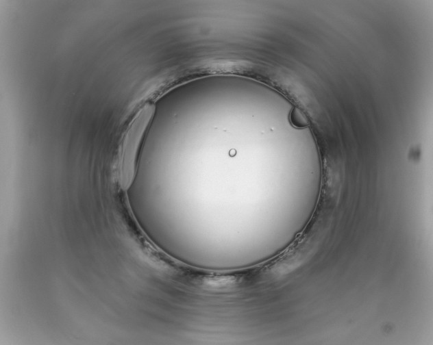 X0000090460357200707272242